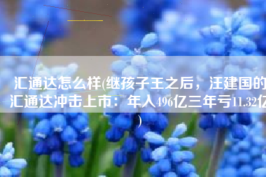 汇通达怎么样(继孩子王之后，汪建国的汇通达冲击上市：年入496亿三年亏11.32亿)