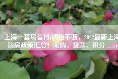 上海一套房首付(调控不断，2022最新上海购房政策汇总！限购、贷款、积分........)