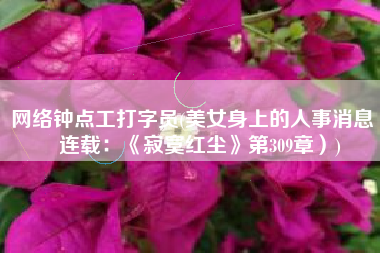 网络钟点工打字员(美女身上的人事消息（连载：《寂寞红尘》第309章）)