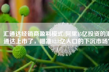 汇通达经销商盈利模式(阿里45亿投资的汇通达上市了，瞄准12.3亿人口的下沉市场？)