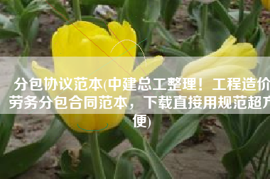 分包协议范本(中建总工整理！工程造价劳务分包合同范本，下载直接用规范超方便)