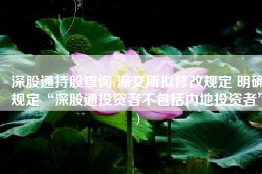 深股通持股查询(深交所拟修改规定 明确规定“深股通投资者不包括内地投资者”)