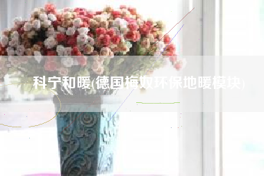 科宁和暖(德国梅奴环保地暖模块)