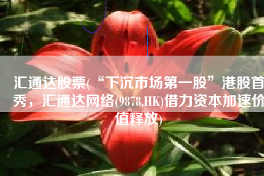 汇通达股票(“下沉市场第一股”港股首秀，汇通达网络(9878.HK)借力资本加速价值释放)