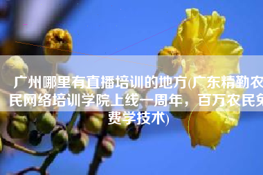 广州哪里有直播培训的地方(广东精勤农民网络培训学院上线一周年，百万农民免费学技术)