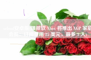 xcloud安卓版(曝微软 Xbox 将推出 XGP 家庭会员：订阅费用 25 美元，最多 5 人)