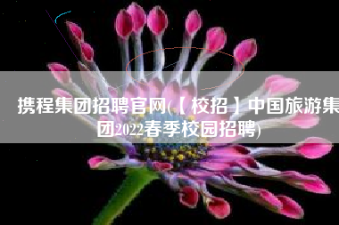 携程集团招聘官网(【校招】中国旅游集团2022春季校园招聘)