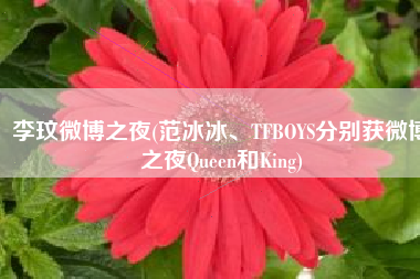 李玟微博之夜(范冰冰、TFBOYS分别获微博之夜Queen和King)