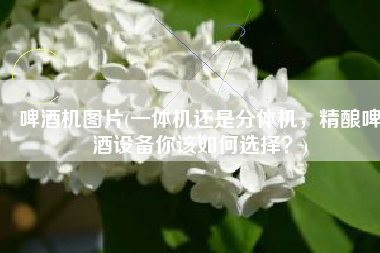 啤酒机图片(一体机还是分体机，精酿啤酒设备你该如何选择？)