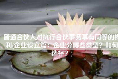 普通合伙人对执行合伙事务享有同等的权利(企业设立篇：企业分哪些类型？如何选择？)