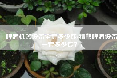 啤酒机器设备全套多少钱(精酿啤酒设备一套多少钱？)