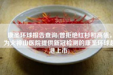 康圣环球报告查询(曾拒绝红杉和高瓴，为火神山医院提供新冠检测的康圣环球赴港上市)