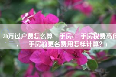 30万过户费怎么算二手房(二手房税费高低，二手房的更名费用怎样计算？)