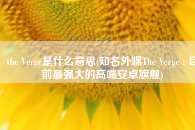 the Verge是什么意思(知名外媒The Verge : 目前最强大的高端安卓旗舰)