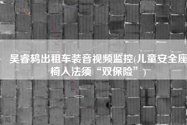 吴睿鸫出租车装音视频监控(儿童安全座椅入法须“双保险”)