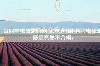 尚朋堂电磁炉官网(家电这1周 名牌电磁炉质量竟然不合格)