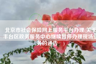 北京市社会保险网上服务平台办理(关于丰台区政务服务中心继续暂停办理现场业务的通告​)