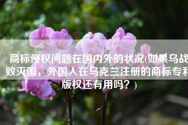 商标侵权问题在国内外的状况(如果乌战败灭国，外国人在乌克兰注册的商标专利版权还有用吗？)