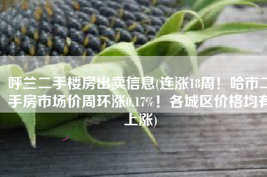 呼兰二手楼房出卖信息(连涨18周！哈市二手房市场价周环涨0.17%！各城区价格均有上涨)