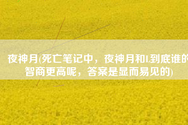 夜神月(死亡笔记中，夜神月和L到底谁的智商更高呢，答案是显而易见的)
