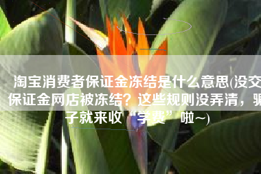 淘宝消费者保证金冻结是什么意思(没交保证金网店被冻结？这些规则没弄清，骗子就来收“学费”啦~)