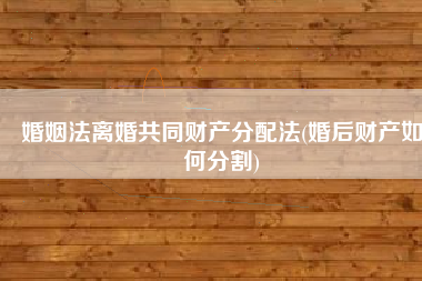 婚姻法离婚共同财产分配法(婚后财产如何分割)