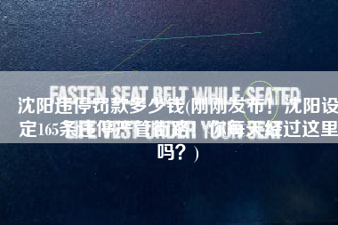 沈阳违停罚款多少钱(刚刚发布！沈阳设定165条违停严管街路！你每天经过这里吗？)