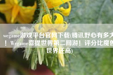 wegame游戏平台官网下载(腾讯野心有多大！Wegame喜提世界第二网游！评分比魔兽世界还高)