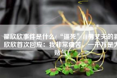 翟欣欣事件是什么(“逼死”IT男丈夫的翟欣欣首次回应：我非常痛苦，一千万是为赌气)