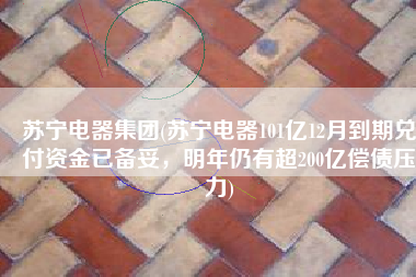 苏宁电器集团(苏宁电器101亿12月到期兑付资金已备妥，明年仍有超200亿偿债压力)