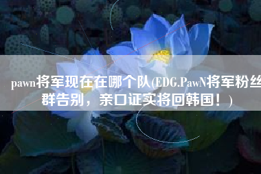 pawn将军现在在哪个队(EDG.PawN将军粉丝群告别，亲口证实将回韩国！)