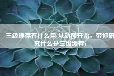 三级缓存有什么用(从动图开始，带你研究什么是三级缓存)