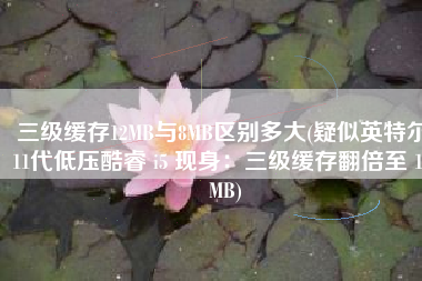 三级缓存12MB与8MB区别多大(疑似英特尔11代低压酷睿 i5 现身：三级缓存翻倍至 12 MB)