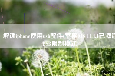 解锁iphone使用usb配件(苹果iOS 11.4.1已激活USB限制模式)