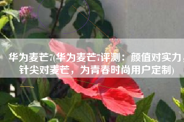 华为麦芒7(华为麦芒7评测：颜值对实力，针尖对麦芒，为青春时尚用户定制)
