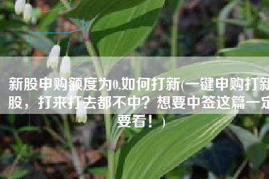 新股申购额度为0,如何打新(一键申购打新股，打来打去都不中？想要中签这篇一定要看！)