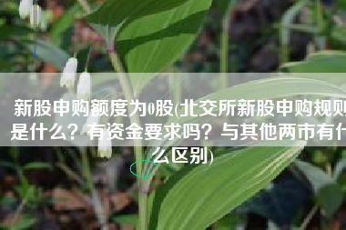 新股申购额度为0股(北交所新股申购规则是什么？有资金要求吗？与其他两市有什么区别)