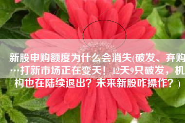 新股申购额度为什么会消失(破发、弃购…打新市场正在变天！12天9只破发，机构也在陆续退出？未来新股咋操作？)