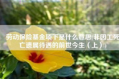 劳动保险基金项下是什么意思(非因工死亡遗属待遇的前世今生（上）)