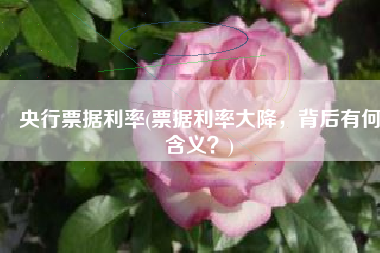 央行票据利率(票据利率大降，背后有何含义？)