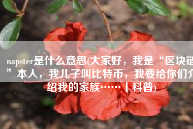 napster是什么意思(大家好，我是“区块链”本人，我儿子叫比特币，我要给你们介绍我的家族……丨科普)
