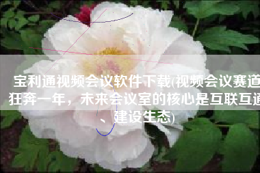 宝利通视频会议软件下载(视频会议赛道狂奔一年，未来会议室的核心是互联互通、建设生态)
