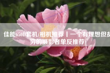 佳能650D套机(相机推荐丨一个有理想但贫穷的摄影者单反推荐)