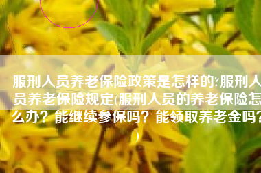 服刑人员养老保险政策是怎样的?服刑人员养老保险规定(服刑人员的养老保险怎么办？能继续参保吗？能领取养老金吗？)