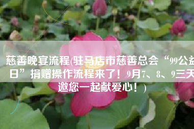 慈善晚宴流程(驻马店市慈善总会“99公益日”捐赠操作流程来了！9月7、8、9三天邀您一起献爱心！)