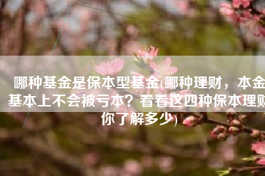 哪种基金是保本型基金(哪种理财，本金基本上不会被亏本？看看这四种保本理财你了解多少)