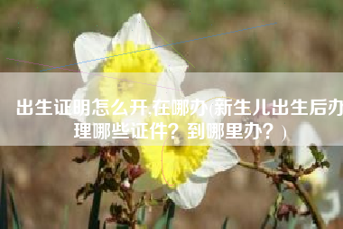 出生证明怎么开,在哪办(新生儿出生后办理哪些证件？到哪里办？)