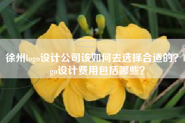 徐州logo设计公司该如何去选择合适的？logo设计费用包括哪些？