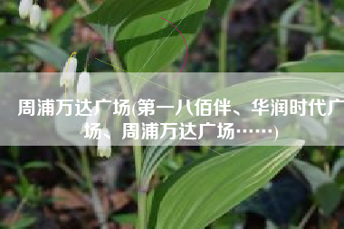 周浦万达广场(第一八佰伴、华润时代广场、周浦万达广场……)