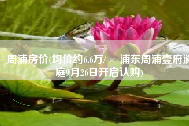 周浦房价(均价约6.6万/㎡ 浦东周浦壹府澜庭9月26日开启认购)